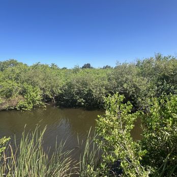 AIS Trail Park - Parks Near Me - Palm Bay, Florida AIS Trail Park - Parks Near Me - Palm Bay, Florida