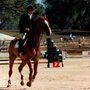 Photo of Hunter Farms