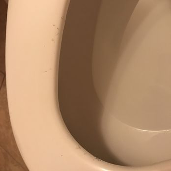 Knights Inn McPherson - Mold on the toilet seat - Hotels Near Me - McPherson, Kansas Knights Inn McPherson - Mold on the toilet seat - Hotels Near Me - McPherson, Kansas