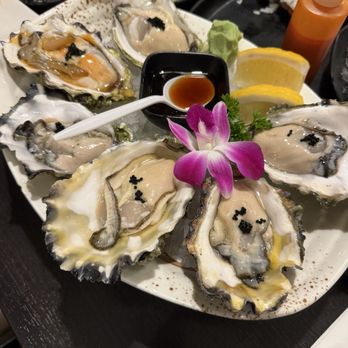 Icho Izakaya - Japanese Near Me - Temple City, California