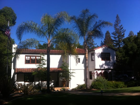 Golden Gate Palms by null