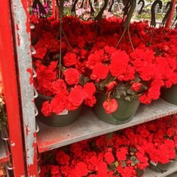 Pat's Farms Garden Center