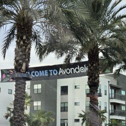 Avondale City Government