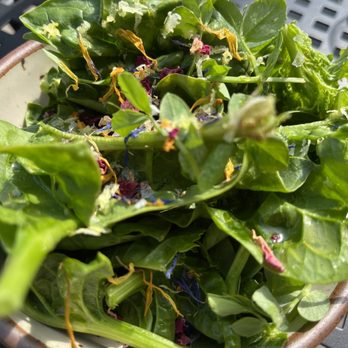 Folk - SALAD SIDE GREENS (V) - Cafes Near Me - Detroit, Michigan