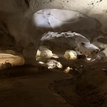 Longhorn Cavern State Park - Tours Near Me - Burnet, Texas Longhorn Cavern State Park - Tours Near Me - Burnet, Texas