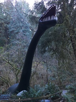 Prehistoric Gardens by null