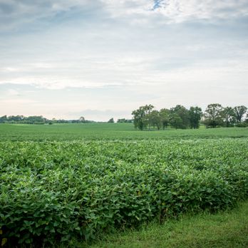 Rabbit Circle - Historical Tours Near Me - Cross Plains, Tennessee