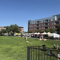 Stapleton Farmers Market - Grassy area in the park between vendors