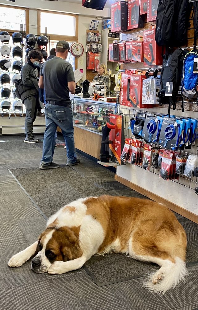 VAIL SKI TECH 11 Photos & 47 Reviews 555 E Lionshead Cir, Vail