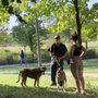 Photo of Quicktail Dog Training