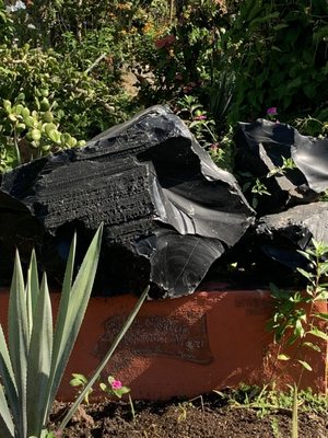 Vallarta Botanical Gardens AC by null