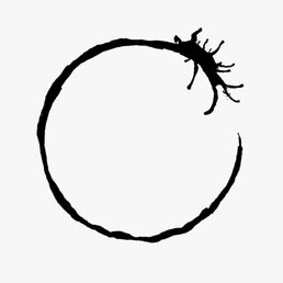 Alien Heptapod language from the movie "Arrival".  Cooincidence?  Hrmmm :)