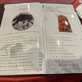Sichuan Jin River - Menu - Chinese Near Me - Rockville, Maryland