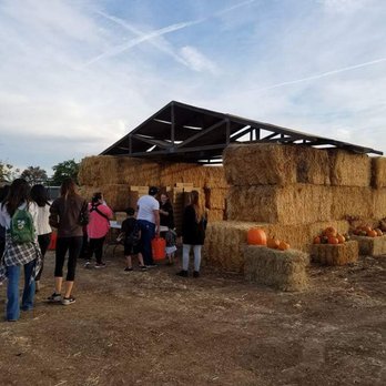 Blue Ridge Organic Farm - My family checking out of the farm - Fruits & Veggies Near Me - Winters, California