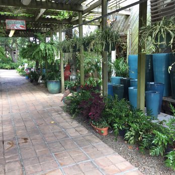 Tom's Thumb by Cornelius Nursery - Nurseries & Gardening Near Me - Galveston, Texas Tom's Thumb by Cornelius Nursery - Nurseries & Gardening Near Me - Galveston, Texas