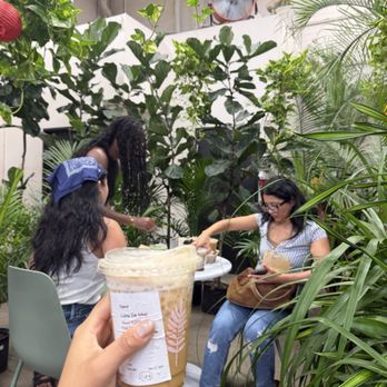 Selva Coffee House - Coffee Roasteries Near Me - San Diego, California