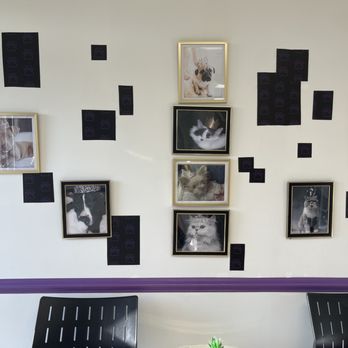 Pawesome Palace - The image shows a wall decorated with framed photographs of pets, including dogs and cats, arranged vertically. The wall also has black paw print decals and a gold crown border along the top. In front of the wall, there are two black chairs with purple cushions and a small round table with a decorative plant and a sign that reads 'LOVE 4 LEGGED WORD.' The setting appears to be a pet grooming salon or similar pet-related business. - Pet Groomers Near Me - Hanover, Maryland