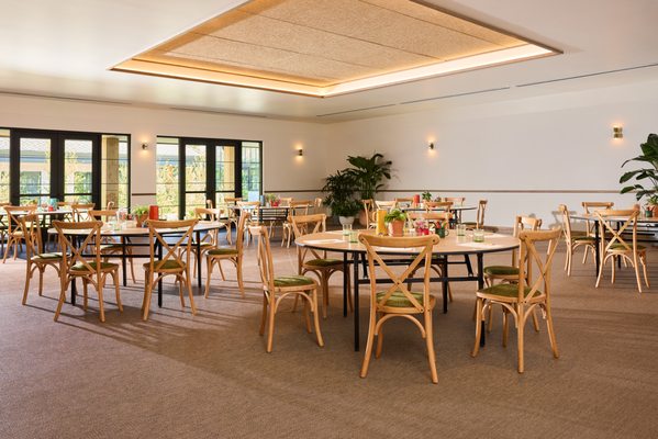 Treehouse Hotel Silicon Valley by null