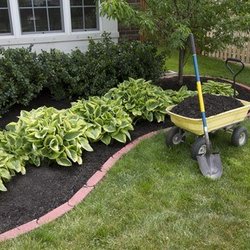 Hydroseeding and Sod By Taravella's Hydro Turf