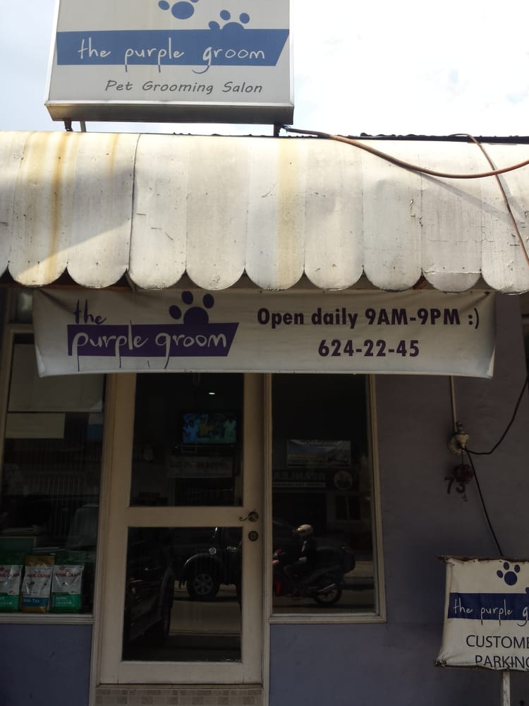 THE PURPLE GROOM Updated July 2024 73 Xavierville Ave., Loyola