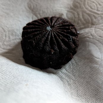 Kaya Bakery - Vietnamese coffee blackout brownie - Pop-Up Restaurants Near Me