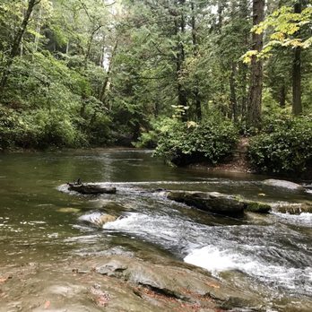 Whatcom Falls Park - Dog Parks Near Me - Bellingham, Washington