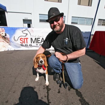 Dogtoberfest - Veterinarians Near Me - Portland, Oregon Dogtoberfest - Veterinarians Near Me - Portland, Oregon