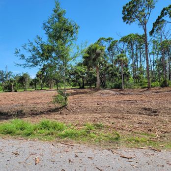 Stealth Mulching - Forestry Mulching & Land Development - The lot after mulching - Excavation Services Near Me - Dade City, Florida Stealth Mulching - Forestry Mulching & Land Development - The lot after mulching - Excavation Services Near Me - Dade City, Florida