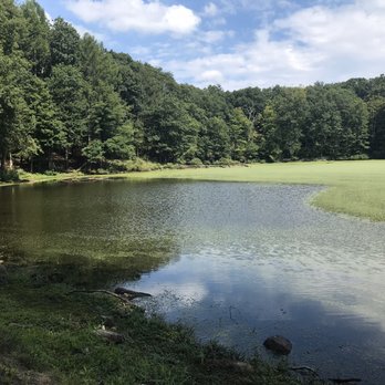 Winding Hills Park - Small pond for fishing - Parks Near Me - Montgomery, New York Winding Hills Park - Small pond for fishing - Parks Near Me - Montgomery, New York