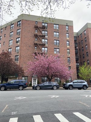 Fort Hamilton by null