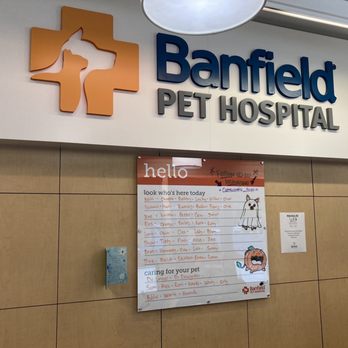 Banfield Pet Hospital - Welcome board! - Veterinarians Near Me - Chatsworth, California Banfield Pet Hospital - Welcome board! - Veterinarians Near Me - Chatsworth, California