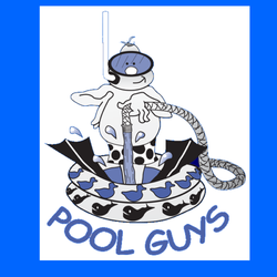 Professional Pool Care - www.propoolguys.com