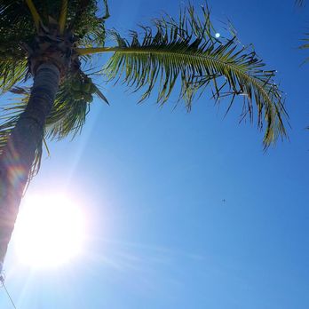 Bongos Beach Bar and Grille - Enjoying blue skies outside Bongos. - Bars Near Me - St. Pete Beach, Florida