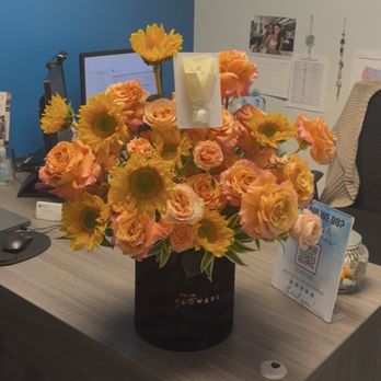 My Flowers - Florists Near Me - Hollywood, Florida My Flowers - Florists Near Me - Hollywood, Florida