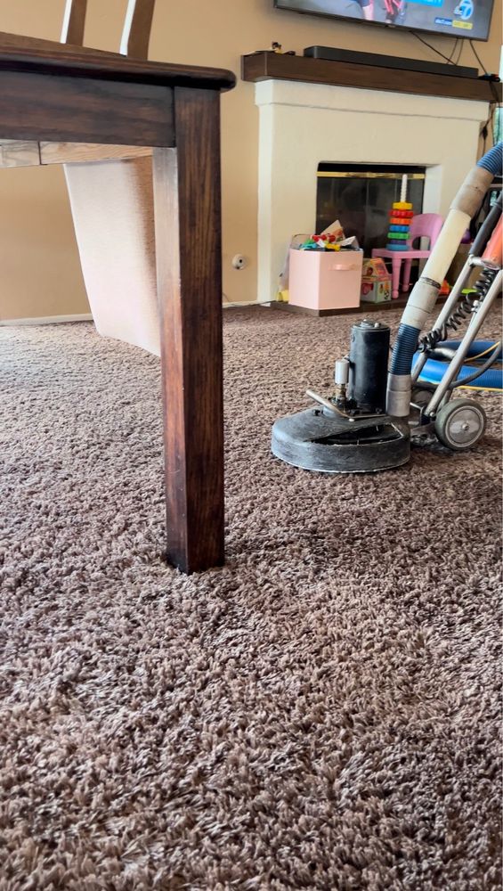 CARPET CLEANING ALADINO Updated September 2024 14400 Main St