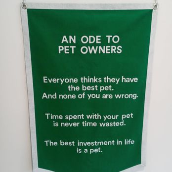 Scout Veterinary Urgent Care - Veterinarians Near Me - Chicago, Illinois Scout Veterinary Urgent Care - Veterinarians Near Me - Chicago, Illinois