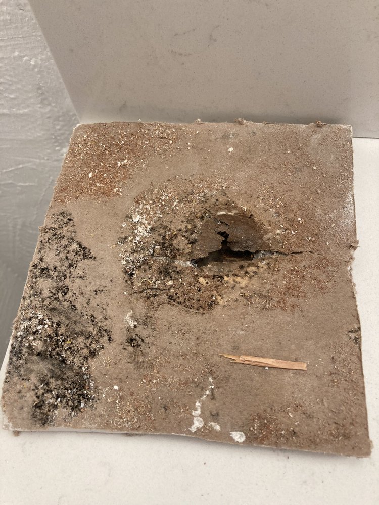 Slide of C4 Plumbing