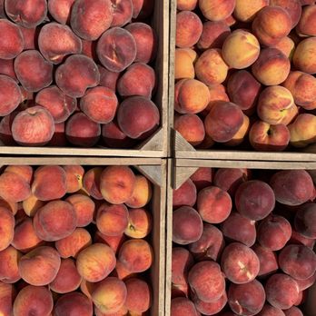 Frecon Farms - Farmers Market Near Me - Boyertown, Pennsylvania