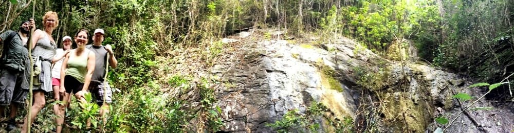 Bushtribe Eco Adventures LLP Logo