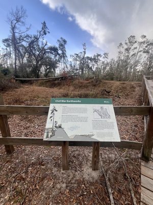 Suwannee River State Park by null