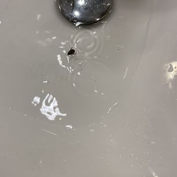 Hotel RL Baltimore Inner Harbor - Roaches on the bathroom sink - Hotels Near Me - Baltimore, Maryland