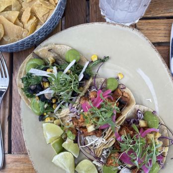 Mustangs & Burros - Tacos - Lounges Near Me - La Jolla, California