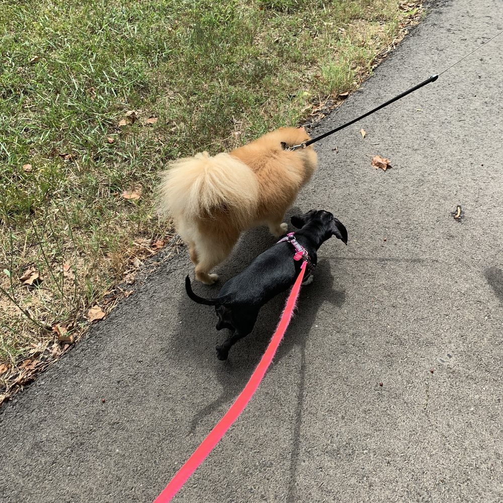 CAMP JORDAN PARK & ARENA 52 Photos 323 Camp Jordan Rd, Chattanooga