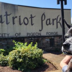 Patriot Park - Nice, dog friendly park.