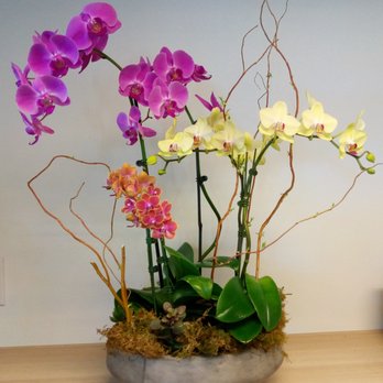 Studio 9 FLOWERS - Floral Designers Near Me - Norwalk, Connecticut Studio 9 FLOWERS - Floral Designers Near Me - Norwalk, Connecticut