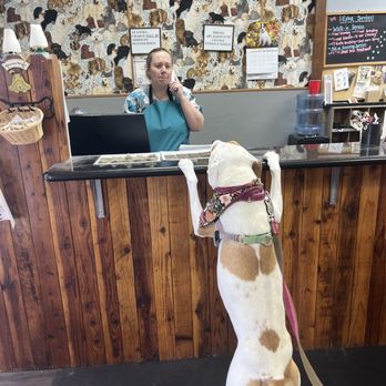 Doggie Doos Grooming - Happy Customer - Pet Groomers Near Me - Phoenix, Arizona Doggie Doos Grooming - Happy Customer - Pet Groomers Near Me - Phoenix, Arizona