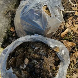 Perle's Poop Patrol - Dog Poop Cleanup. Perle's Poop Patrol