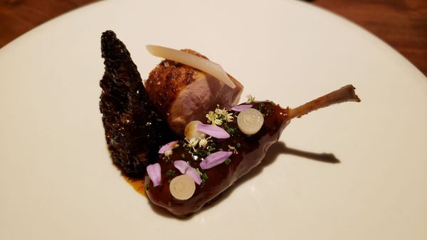 Photo of Coi - San Francisco, CA, US. Quail: morel mushroom, preserved ramp