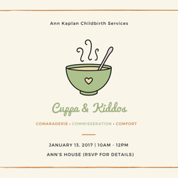 Ann Kaplan Childbirth Services - FREE monthly playdate group