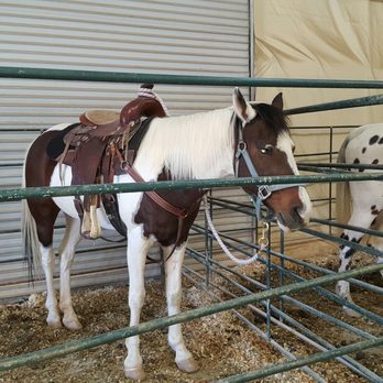Paradise Ranch - Horseback Riding Near Me - Las Vegas, Nevada